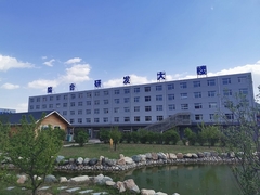 রাইজার শিল্পের প্রবর্তন